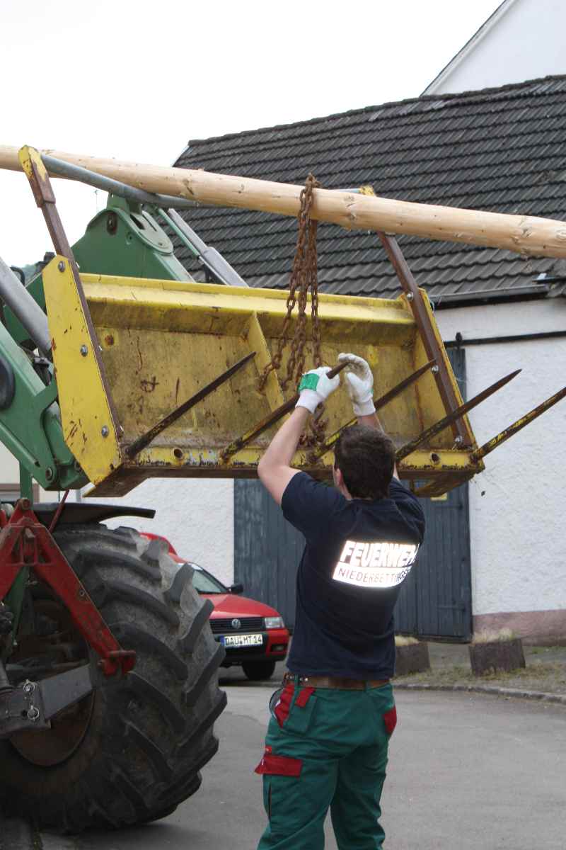 Maibaum